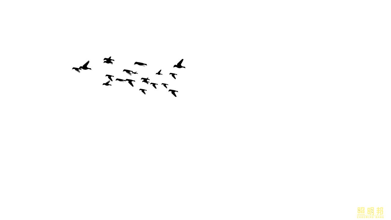 ҹƹ̳,ƹЧͼ