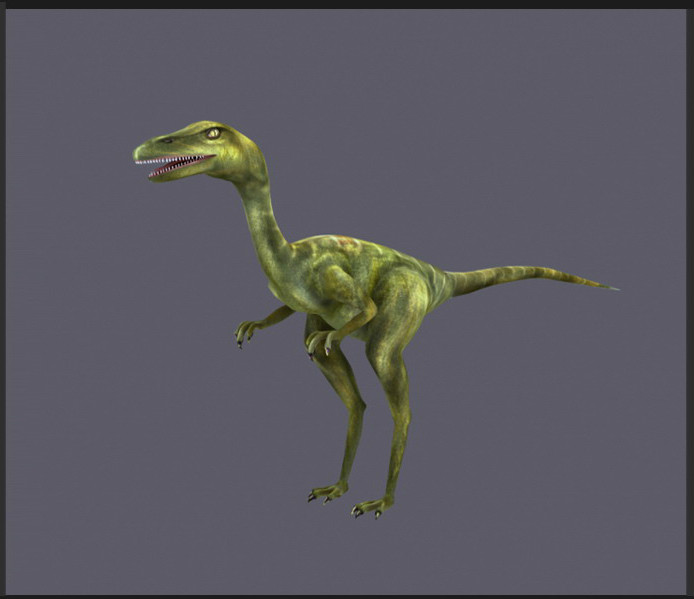 3D̳